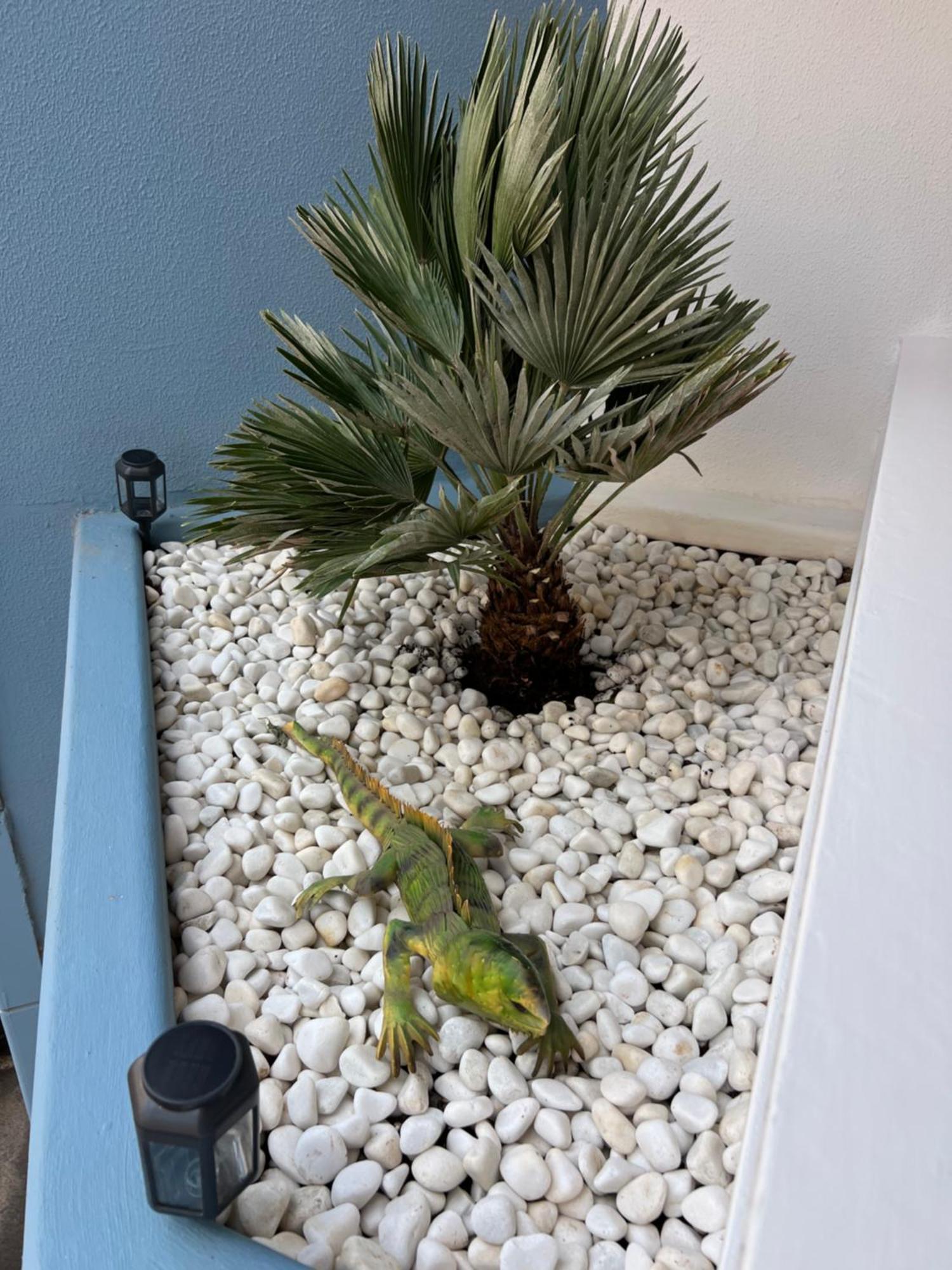 Air Conditioning, Private Parking And Fully Equipped Kitchen In Hotel Room In Golf Del Sur, Tenerife San Miguel de Abona Bagian luar foto